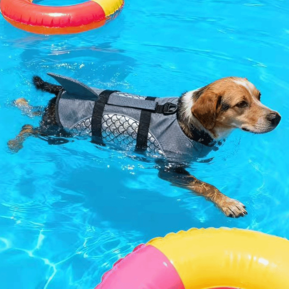 Life Jacket Buoyancy - Hundeschwimmweste mit starkem Auftrieb, glänzende Schuppen,