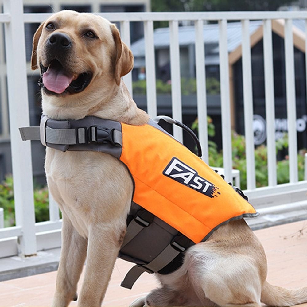Verstellbare Schwimmweste für  – Life Jacket Buoyancy Bewertung und Preis