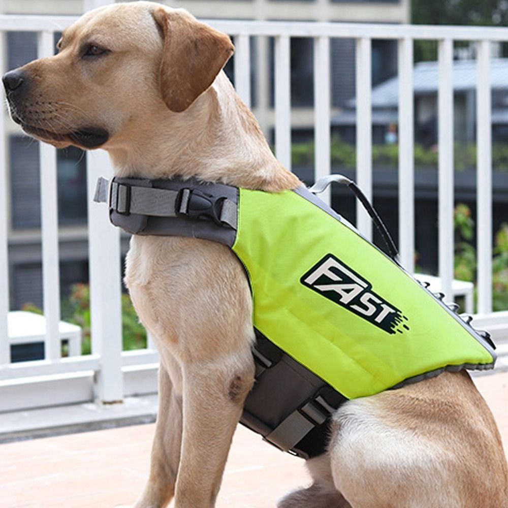 Verstellbare Schwimmweste für  – Life Jacket Buoyancy Bewertung und Preis