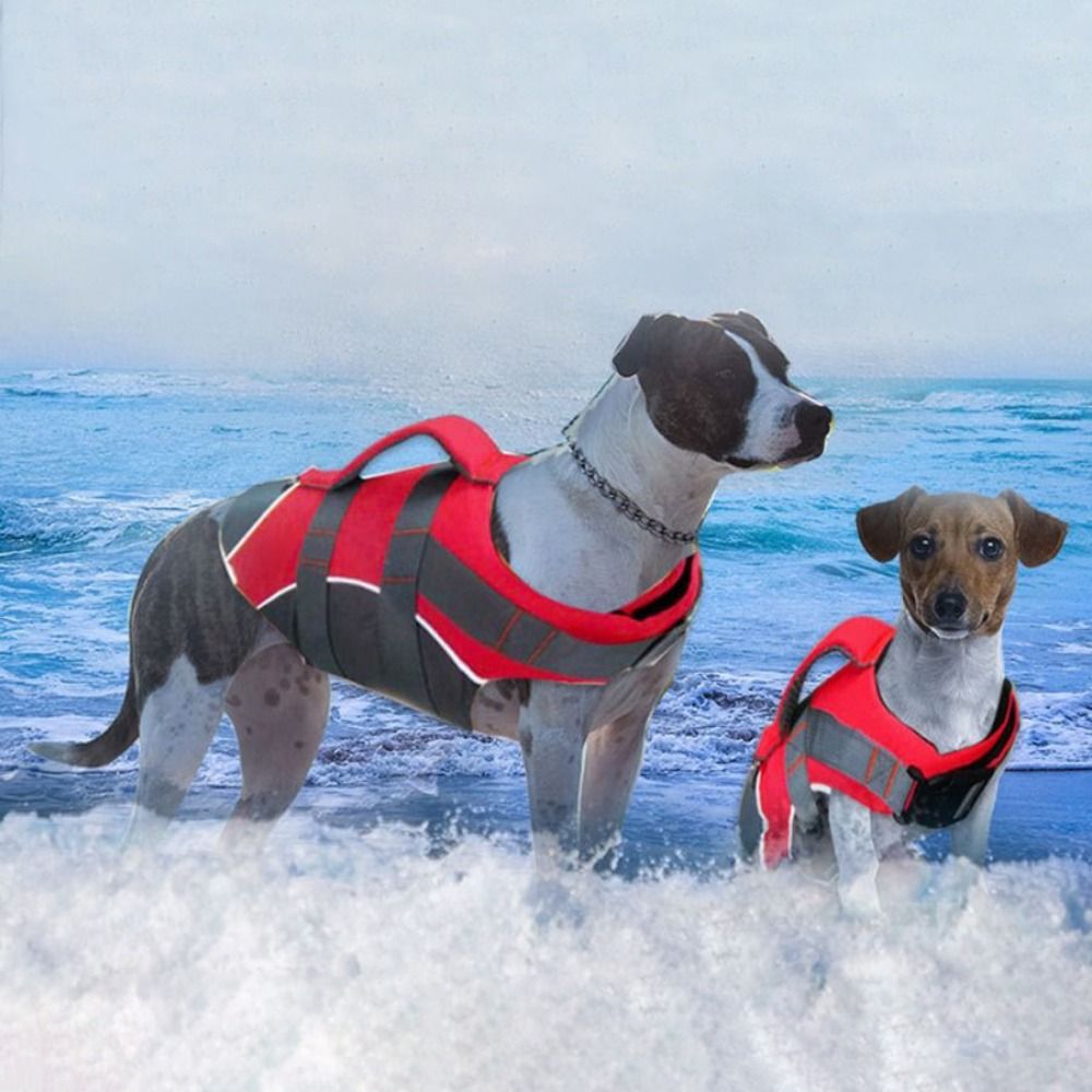 Reflektierende Hunde-Schwimmwe – Life Jacket Buoyancy Bewertung und Preis