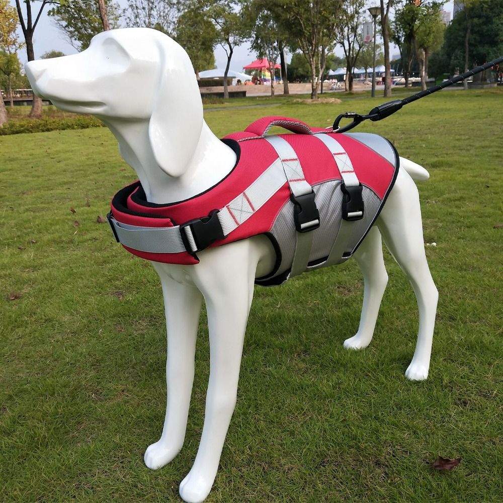 Reflektierende Hunde-Schwimmwe – Life Jacket Buoyancy Bewertung und Preis