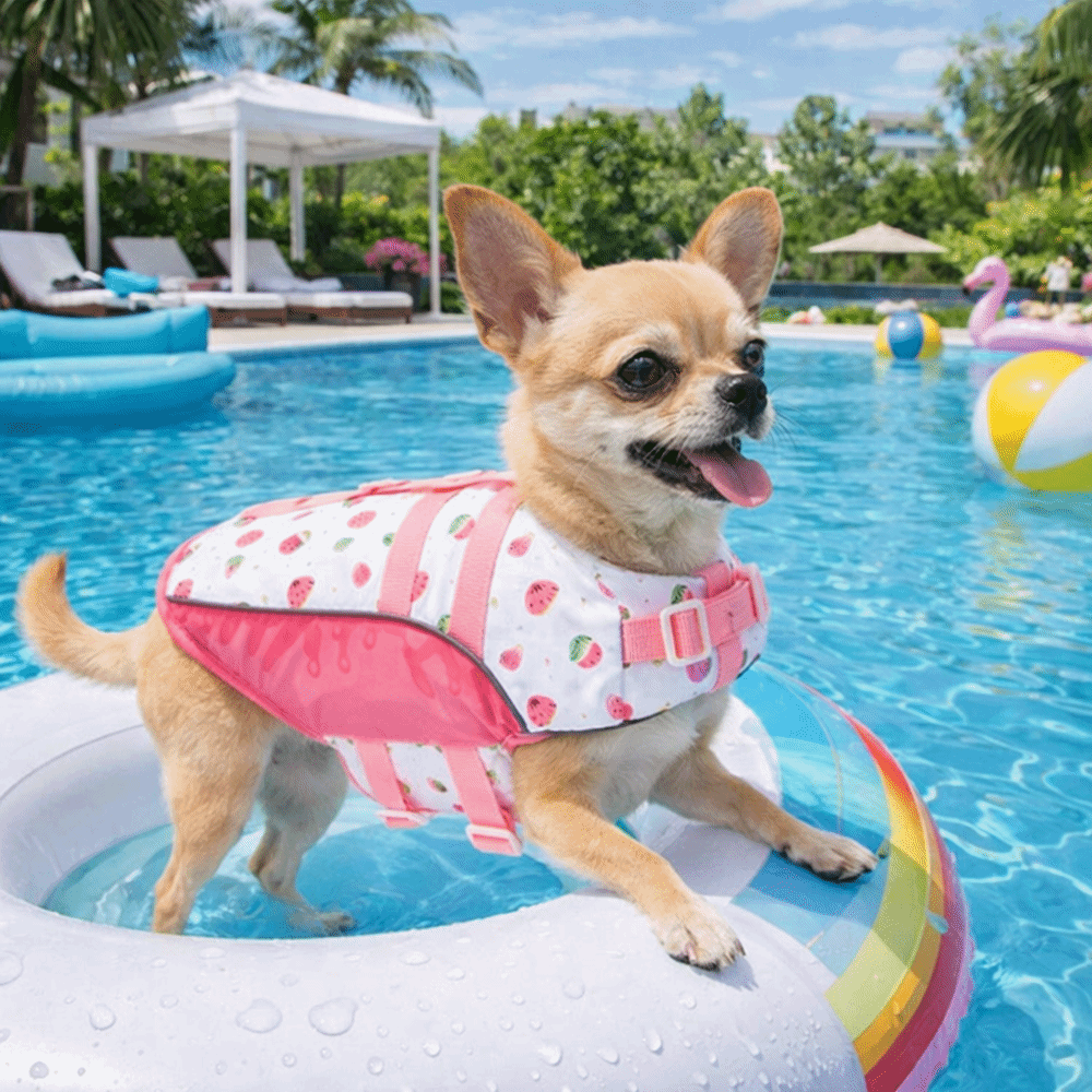 Verstellbare Hunde-Schwimmwest – Life Jacket Buoyancy Bewertung und Preis