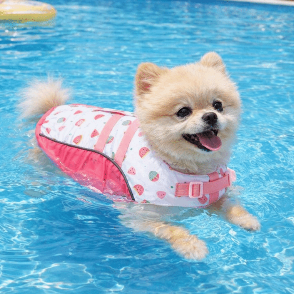 Verstellbare Hunde-Schwimmwest – Life Jacket Buoyancy Bewertung und Preis